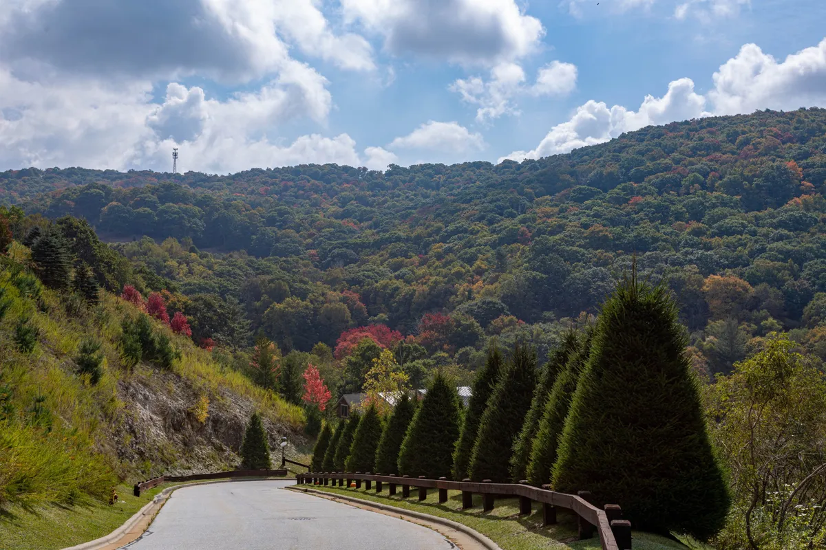 A winding road bordered by vibrant, tree-lined pathways bursts with colorful foliage, with majestic mountains forming a serene backdrop. The scene captures the essence of the outdoors in all seasons, suggesting scenic drives, hikes, and the beauty of seasonal change.